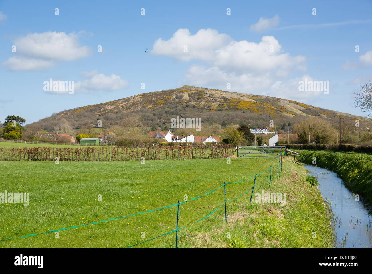 Crook Peak Hill Somerset liegt auf dem Wessex Walk in der Landschaft von England UK Stockfoto
