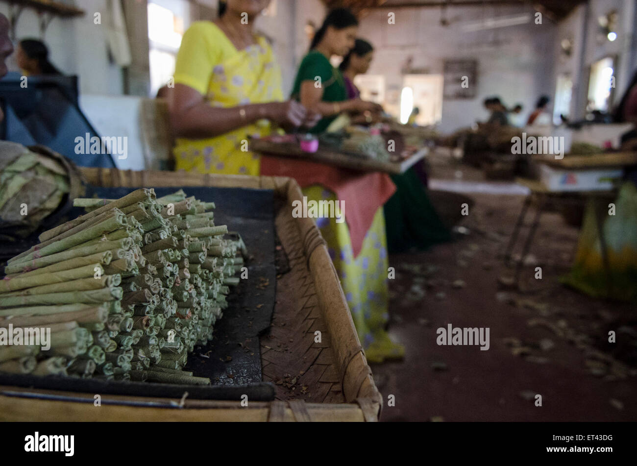 ein Stapel von Beedies auf einem indischen Womens Arbeitsplatz in einer Fabrik Stockfoto