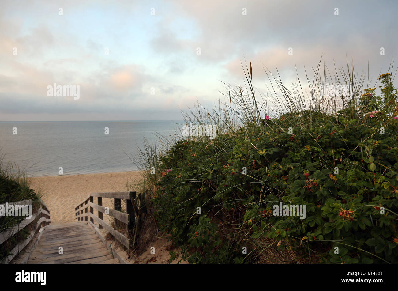 Liste, Deutschland, mit Blick auf die östlichen Strand der gemeinschaftlichen Liste am Morgen Stockfoto