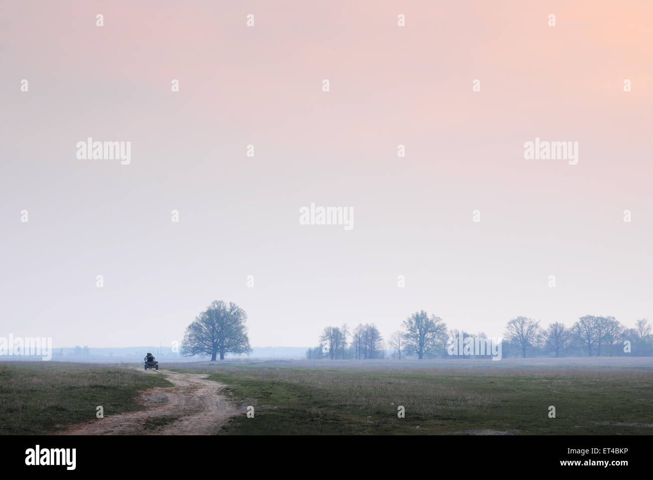 Natur, rosa, schön, Landschaft, Stockfoto