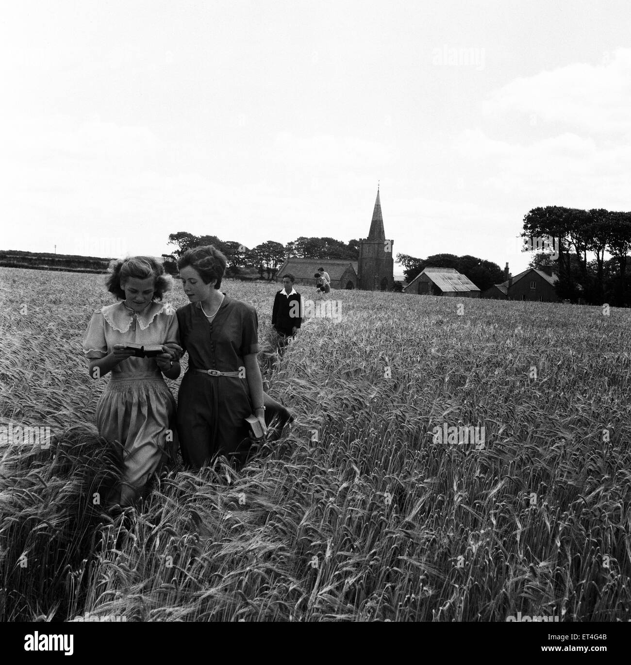 Ein Spaziergang durch das Gerstenfeld bei Bigbury, South Devon Choirgirls Hannah (links) und Pamela Burgoyne, beide 11, im Alter von lesen Text der Pfarrer predigt wie sie beiseite die Reifung kniehohe Gerste durch den kleinen Weg. Juli 1952. Stockfoto