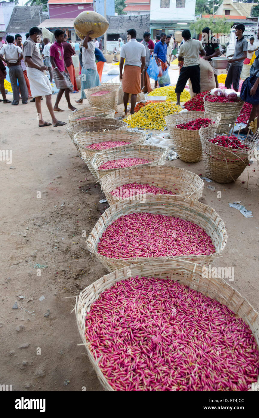 Jasminblüten werden in Körben an Thovalai Flower Market angelegt Stockfoto