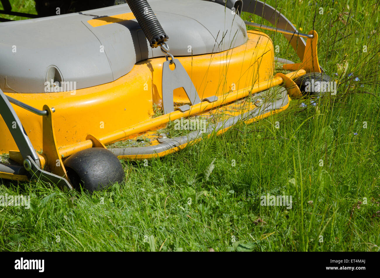 Schneiden den Rasen mit einem Rasen-Aufsitzmäher Stockfoto