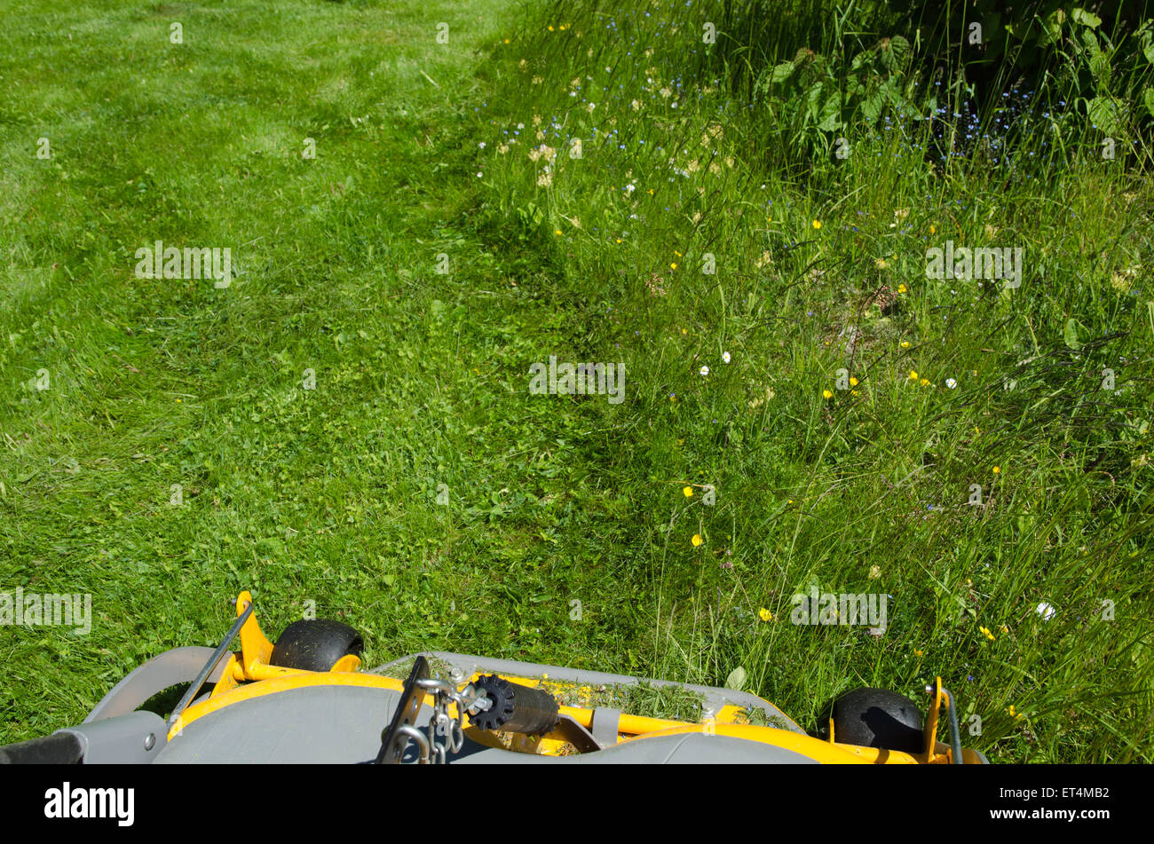 Blick aus dem Sitz auf einem Aufsitzmäher beim Schneiden des Rasens Stockfoto