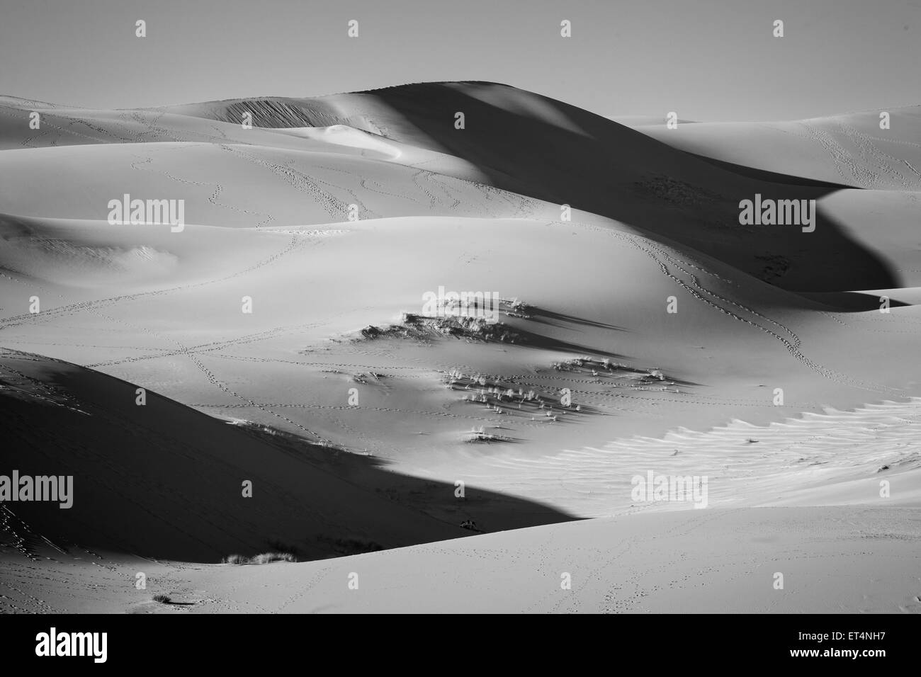 Die unerwartete Dünen Sand Dunes National Park im Zentrum von Colorado. Stockfoto