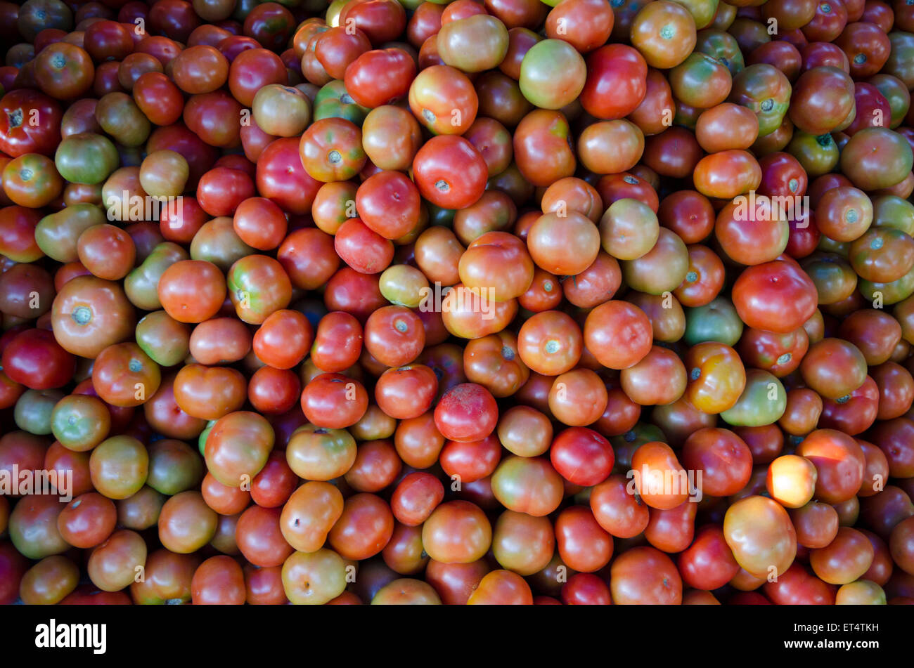 einzigen Schuss Tomaten aus einem traditionellen Markt für Obst und Gemüse Stockfoto