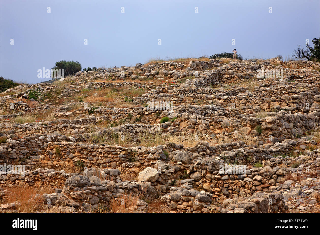 Die archäologische Stätte (minoische Siedlung) von Gournia, Gemeinde Ierapetra, Lasithi, Kreta, Griechenland Stockfoto