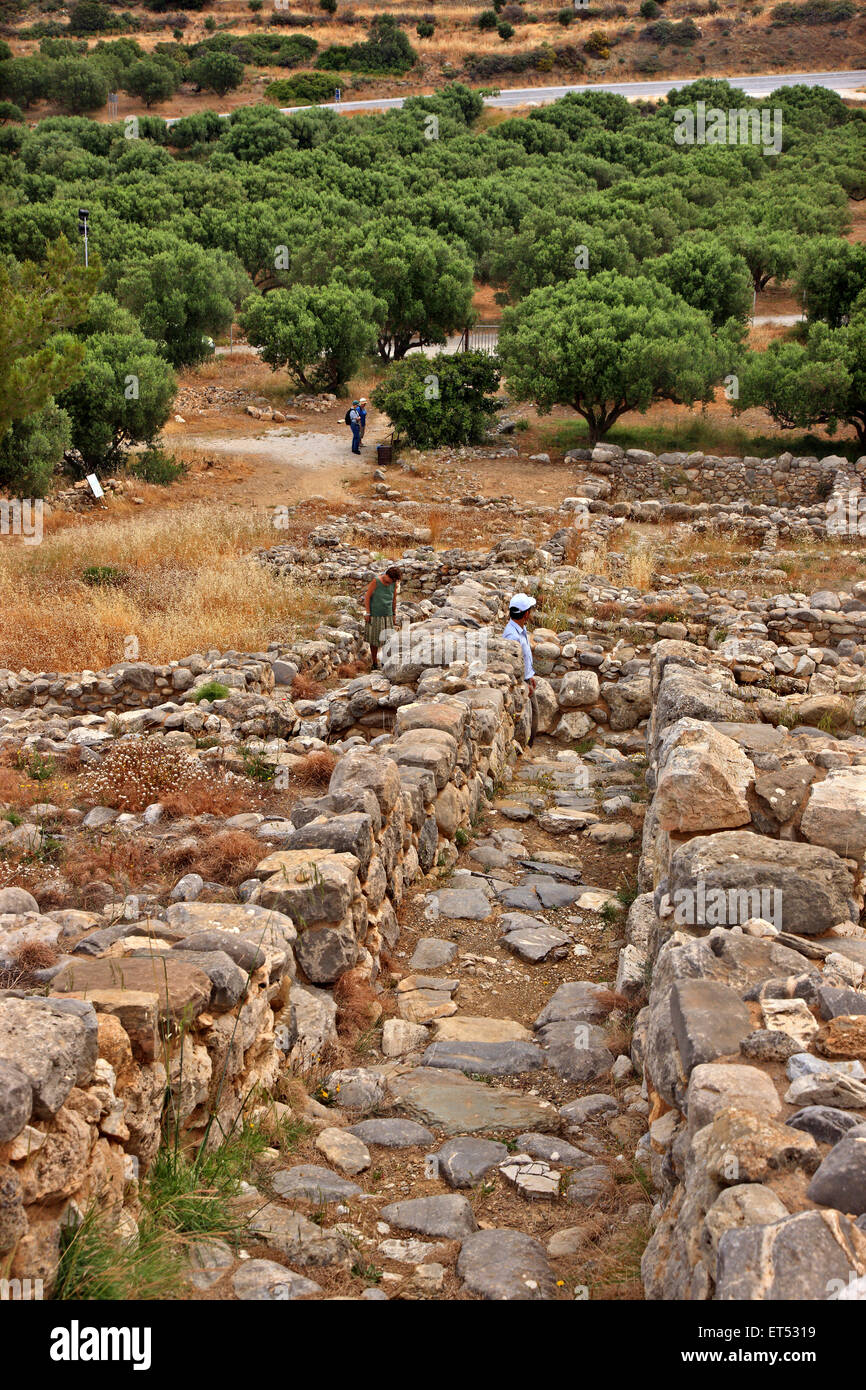 Die archäologische Stätte (minoische Siedlung) von Gournia, Gemeinde Ierapetra, Lasithi, Kreta, Griechenland Stockfoto