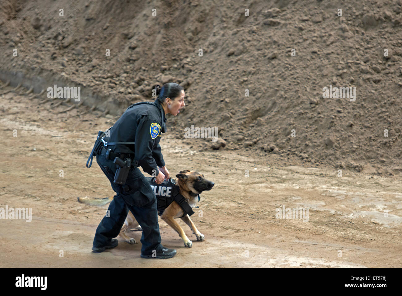 Chula Vista (Kalifornien) Polizist und Polizeihund bei Eckzahn Umgang mit Demonstration Stockfoto