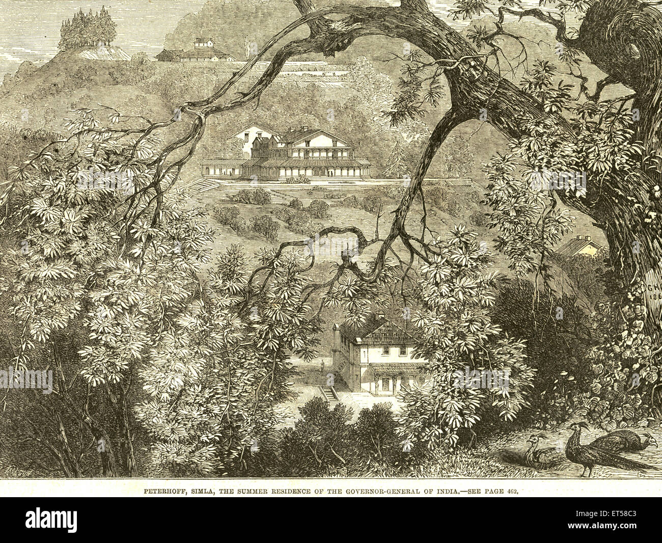 Peterhof; die Sommer-Residenz des Generalgouverneurs von Indien; Shimla; Himachal Pradesh; Indien Stockfoto