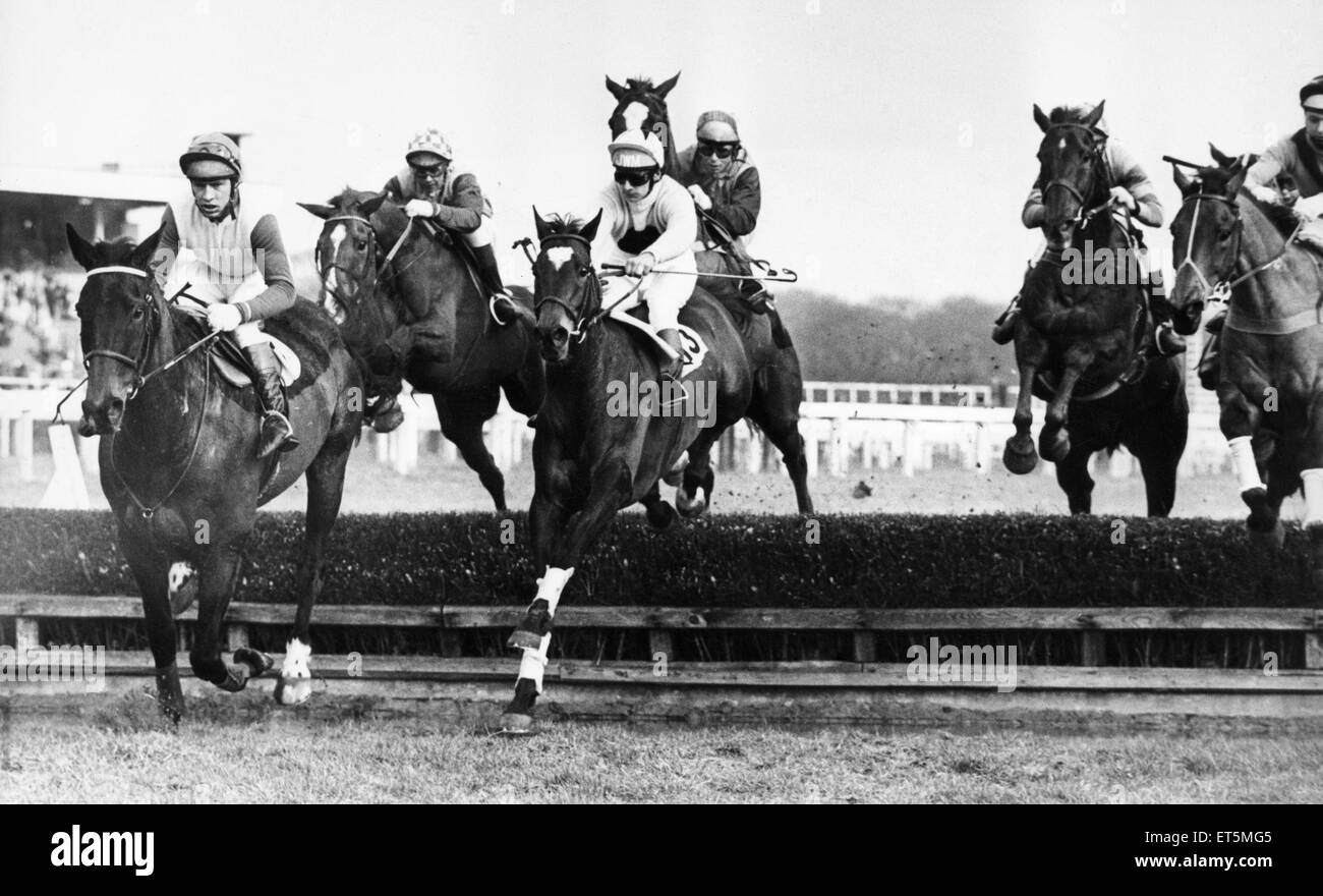 Der Blutegel Home Handicap Steeple Chase in Gosforth Park. Ben More (links) geritten von J Glover, die den zweiten Platz belegte und Ormonde Tudor (Mitte) geritten von J Mooney führen das Feld über dem Wasser zu springen. Die späteren Sieger Nr. Gypsy von J Domherrn geritten ist gesehen secon Stockfoto