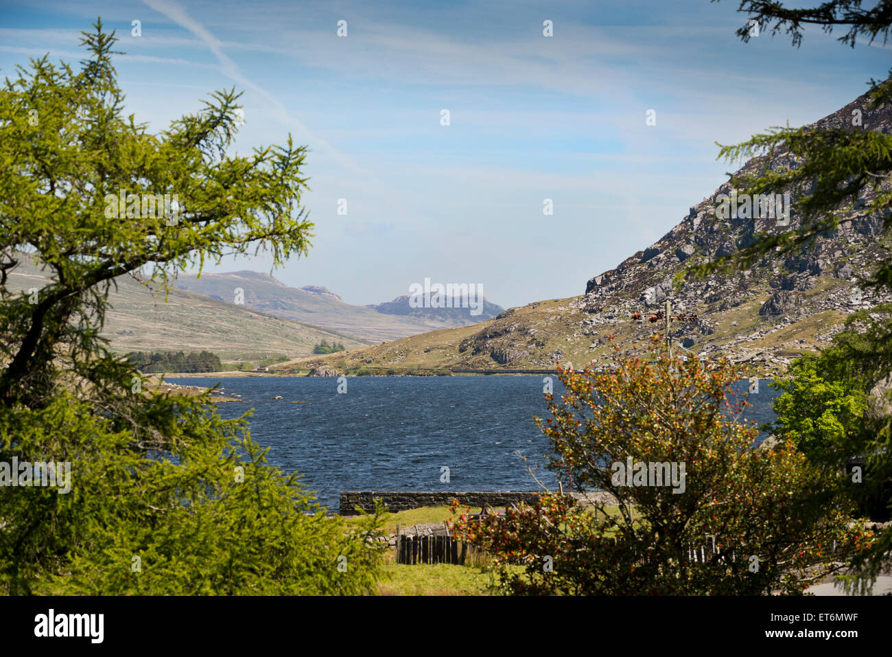 Snowdonia North Wales Uk National Trust Llyn Ogwen Seenlandschaft Wassertreten Stockfoto