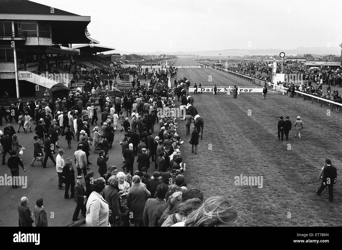 Die Pferde für die täglichen Spiegel Womens Race sind Parade vor der Tribüne in Redcar 4. August 1972 Stockfoto