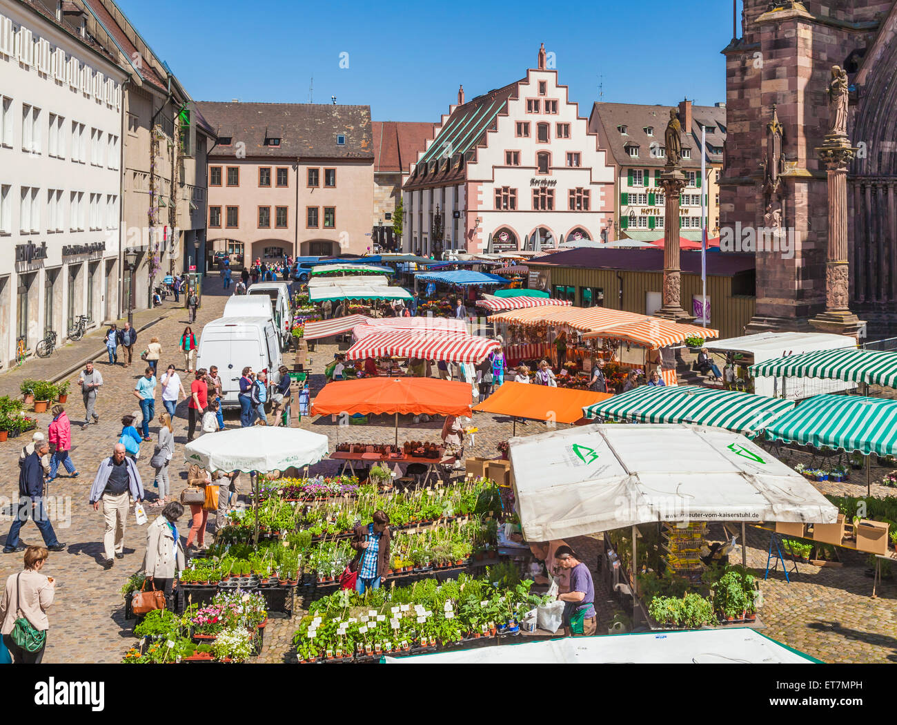 Deutschland, Stände, Freiburg Im Breisgau, Münsterplatz, Markt