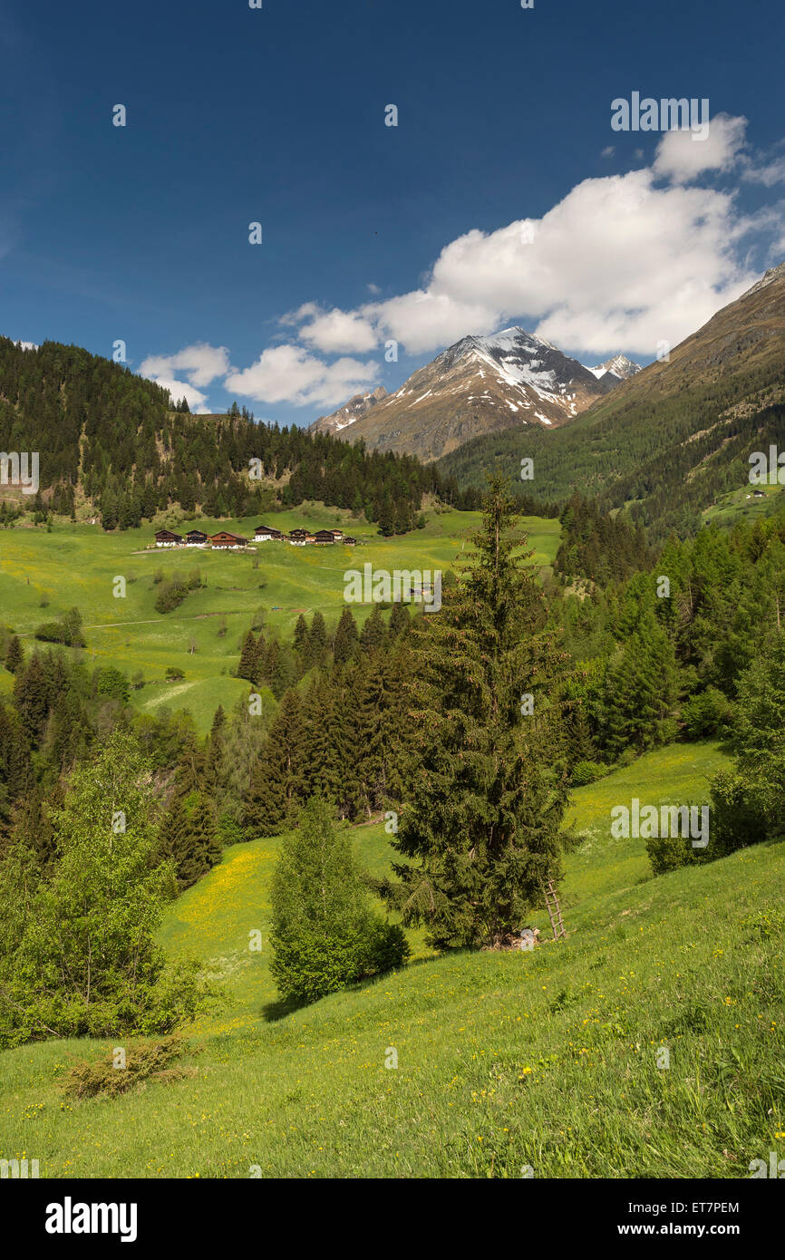 Berglandschaft mit Bauernhäusern, in der Nähe von Prägraten bin Großvenediger, Virgental Tal, Ost-Tirol, Österreich Stockfoto