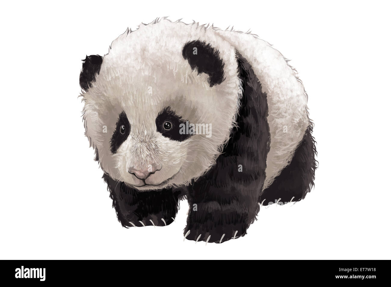Panda, Illustration-Technik, Stockfoto