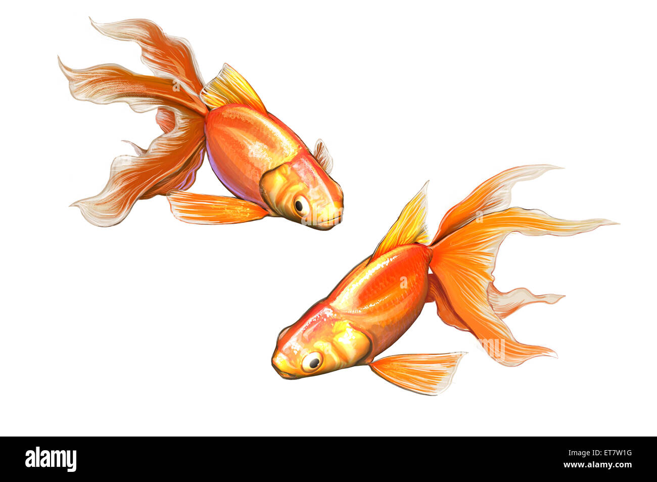 Goldfisch, Illustration-Technik, Stockfoto