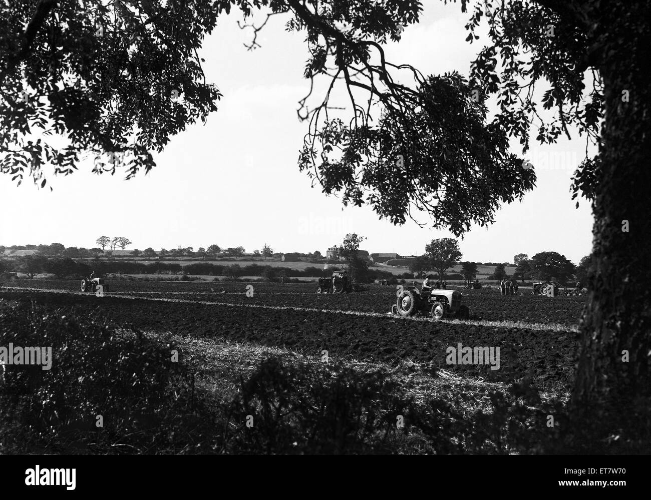 Landwirte auf ihren Ferguson TE-Traktoren im Wettbewerb mit dem Forest of Arden Pflügen übereinstimmen. Warwickshire. ca. August 1955 Stockfoto