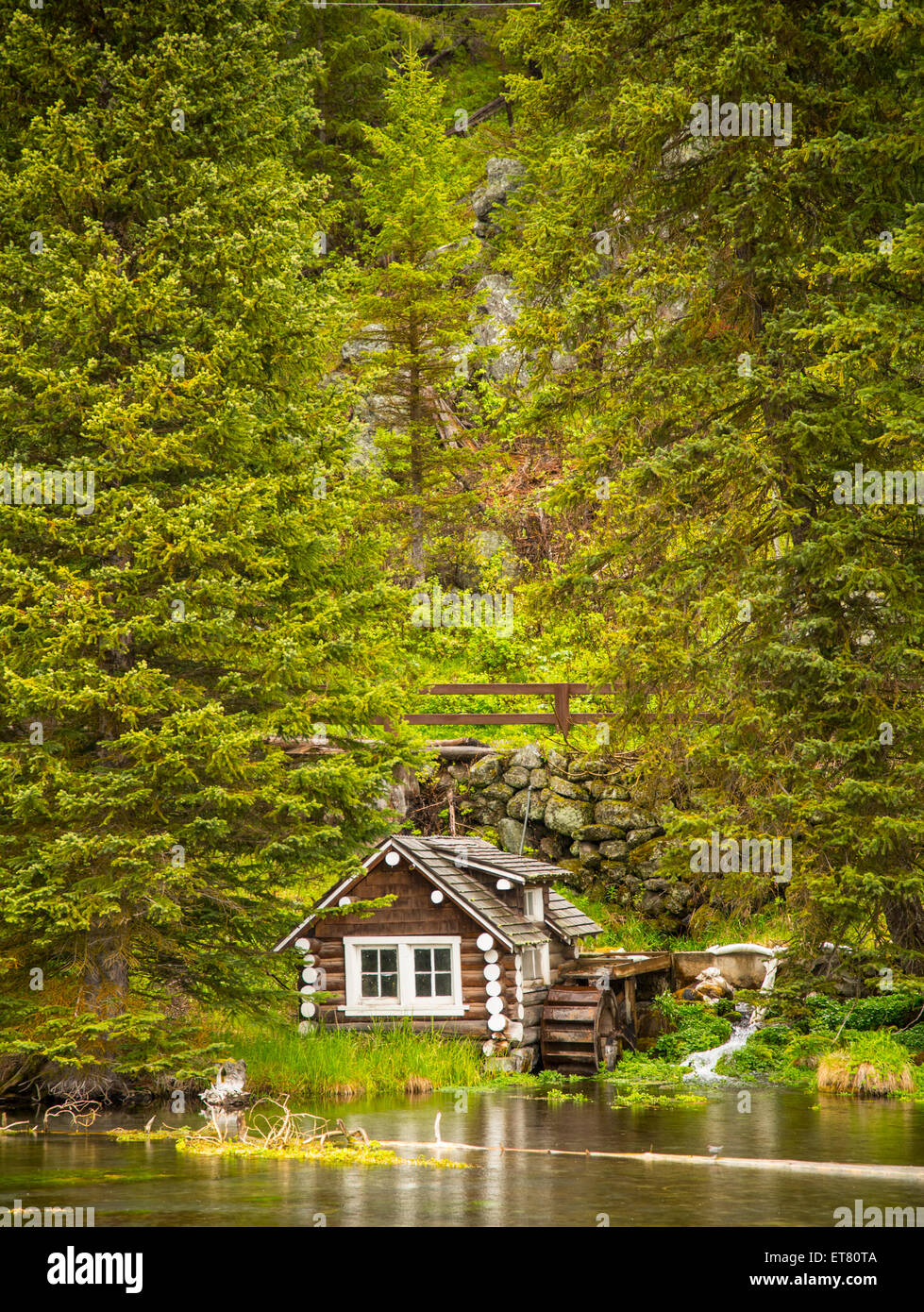 Großen Federn, Johny Säcke Kabine Island Park, Idaho, USA Stockfoto