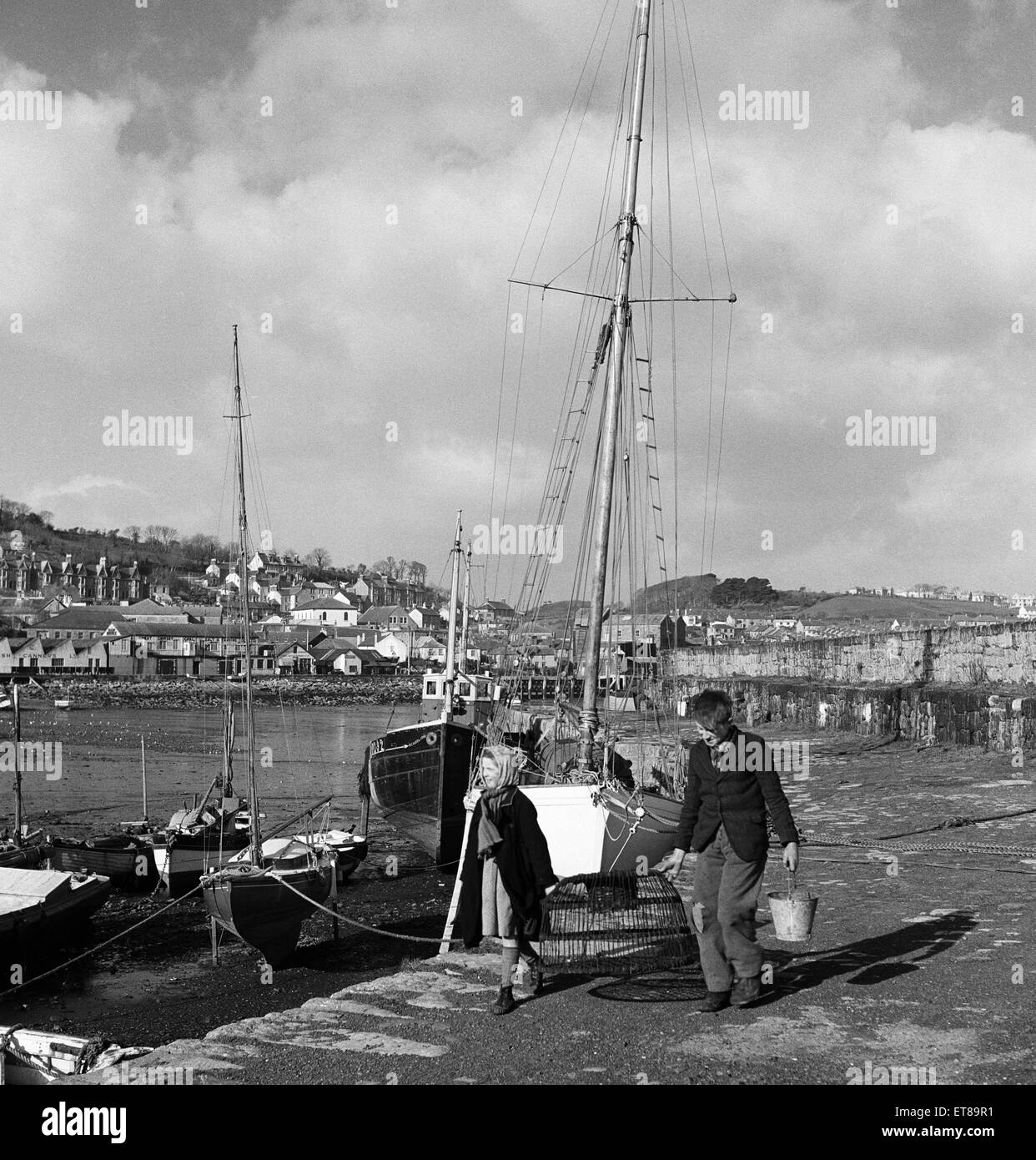 Die früheste gelbe Narzissen genannt Soleil D'or, die auf die Isles of Scilly angebaut werden, sind in Kartons verpackt und per Schiff nach Penzance, für Covent Garden Market, gesendet. 5. Februar 1953. Stockfoto
