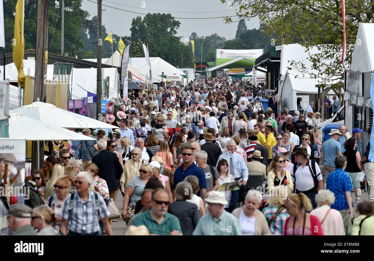 Ardingly Sussex UK 12. Juni 2015 - Massen genießen heißes Wetter, obwohl Gewitter heute später auf den Süden von England Show in Ardingly prognostiziert werden diese Jahre Thema ist The Next Generation für Ernährung und Landwirtschaft Credit: Simon Dack/Alamy Live News Stockfoto