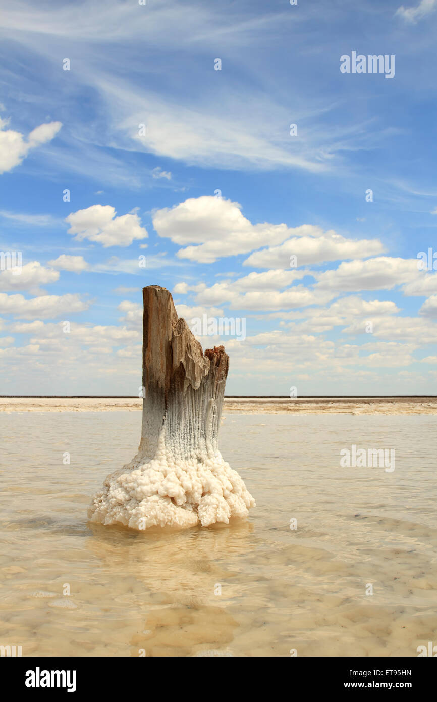 Salt Lake Baskunchak, Russland Stockfoto