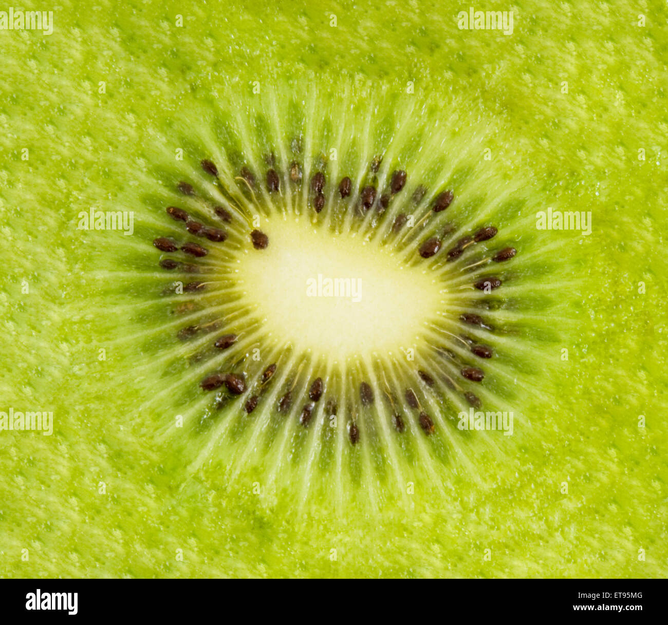 Frisches Obst Kiwi Scheibe super Makro-Aufnahmen isoliert auf weiß Stockfoto