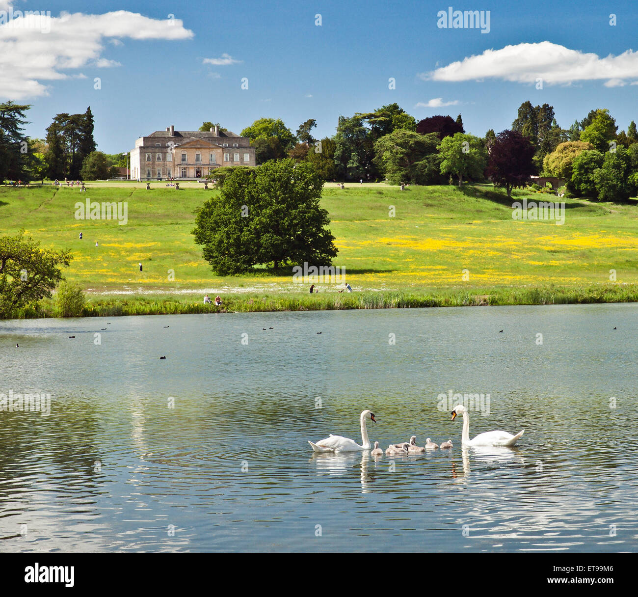 Gatton Park, Reigate, Surrey. Stockfoto