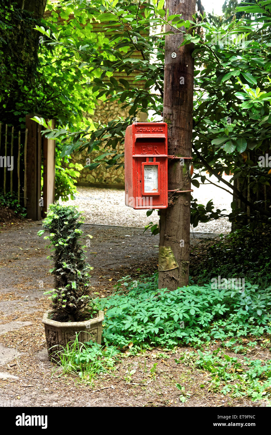 Roten Briefkasten angebracht, um Pol telegraph. Stockfoto
