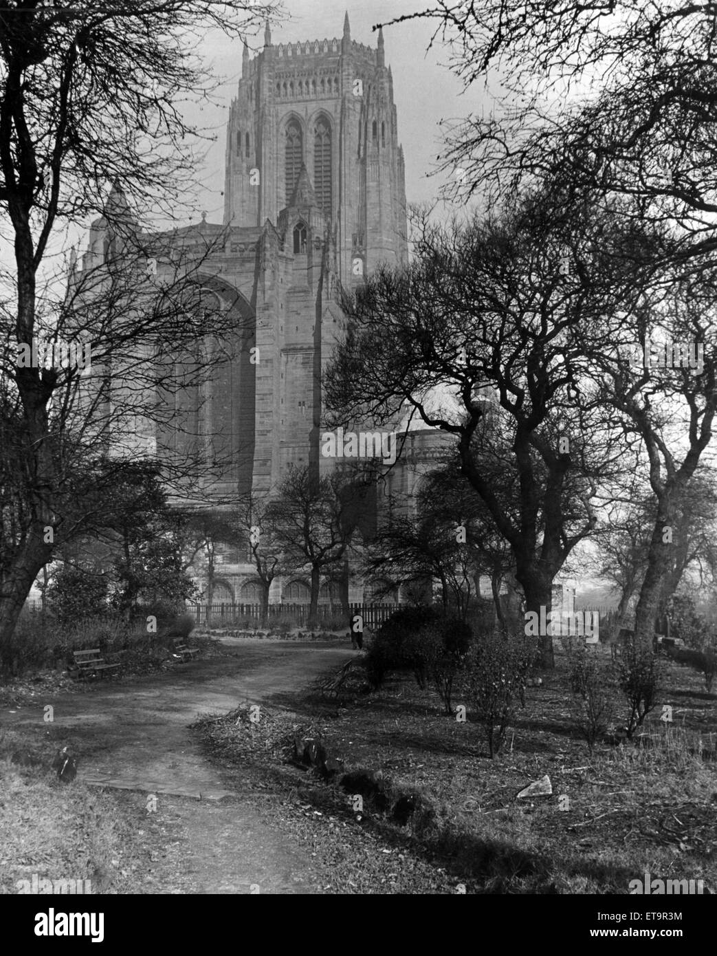 Liverpool Kathedrale, die Kirche England Kathedrale der Diözese von Liverpool, auf Str. Jamess Mount in Liverpool gebaut und ist der Sitz des Bischofs von Liverpool, 1978 fertiggestellt. Ca. März 1955. Stockfoto