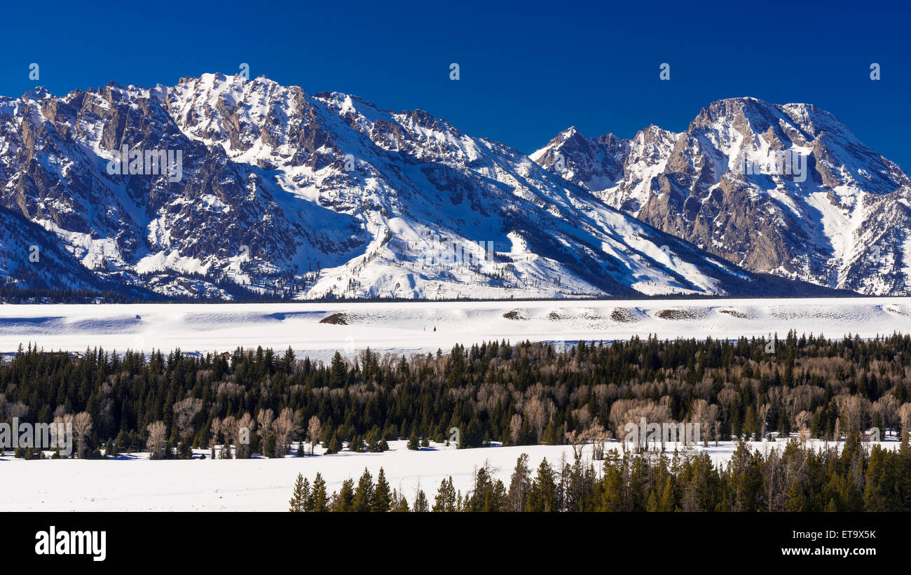 Mount Moran im Winter, Grand-Teton-Nationalpark, Wyoming, USA Stockfoto