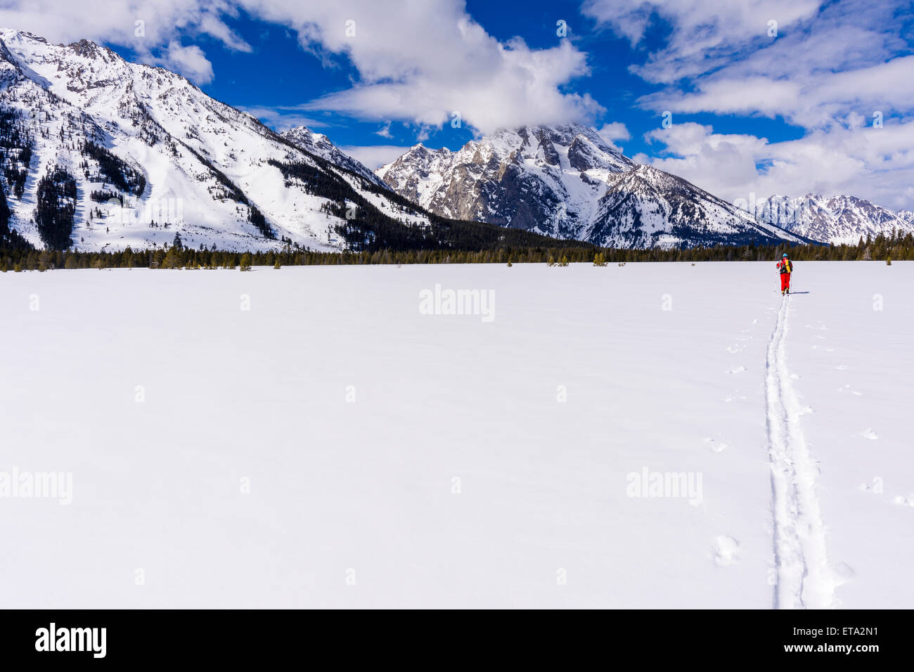 Backcountry Skifahrer unter Mount Moran, Grand-Teton-Nationalpark, Wyoming, USA Stockfoto