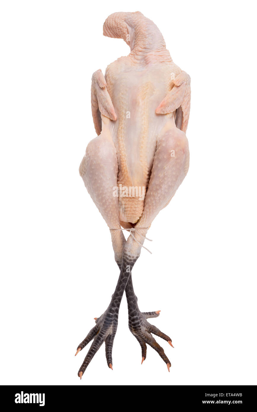 Bresse-Huhn mit den typischen dunklen Füßen isoliert auf weiss Stockfoto