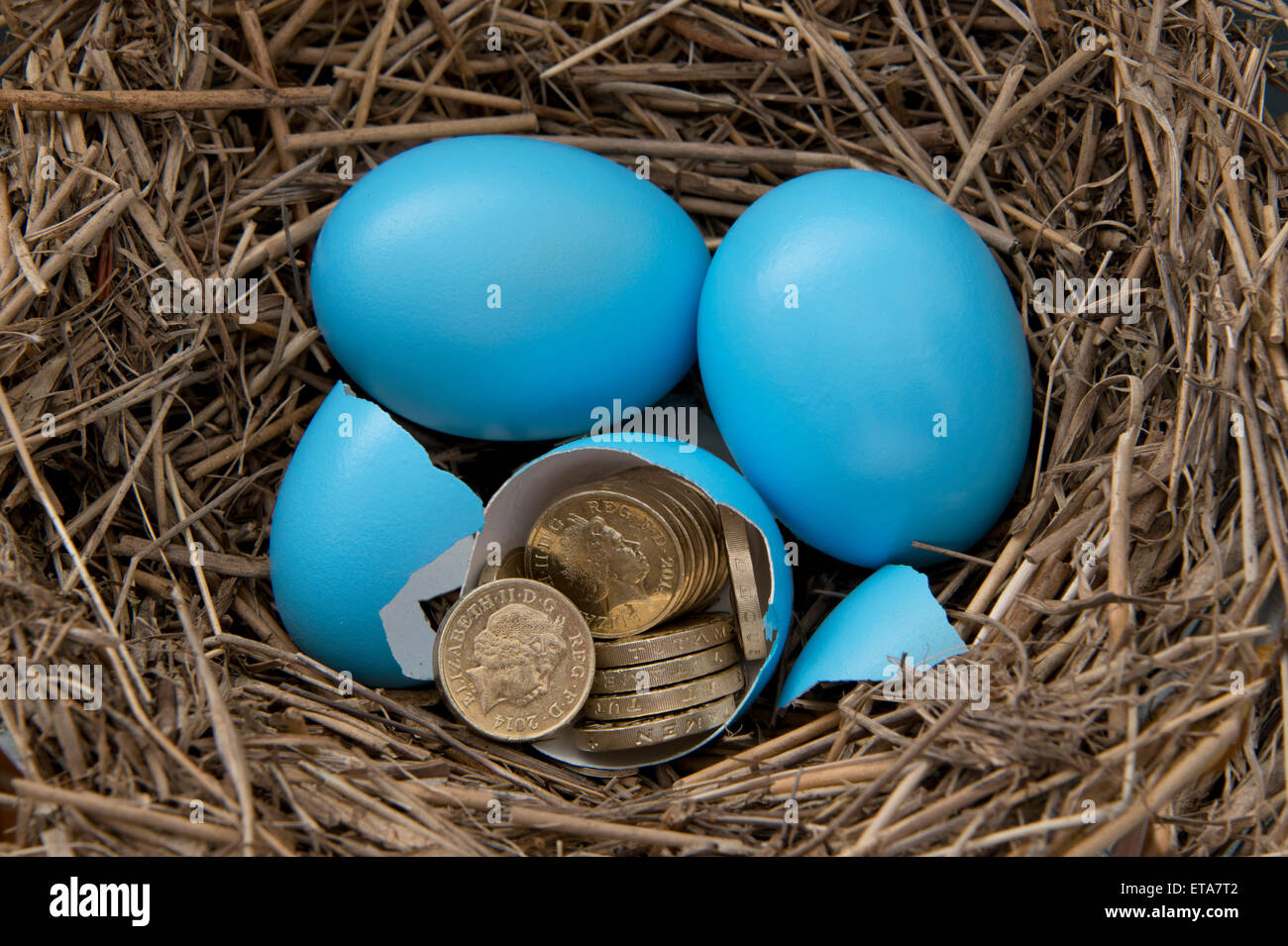Notgroschen, blauen Eiern in einem Nest mit britischen Pfund coins'hatching 'eine UK Financial Geld Münzen economy'personal Finanzen' stash'nest Ei Stockfoto