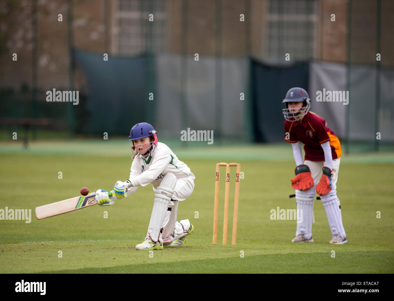 Ein Juniorinnen-Cricket-Match in Wiltshire UK Stockfoto