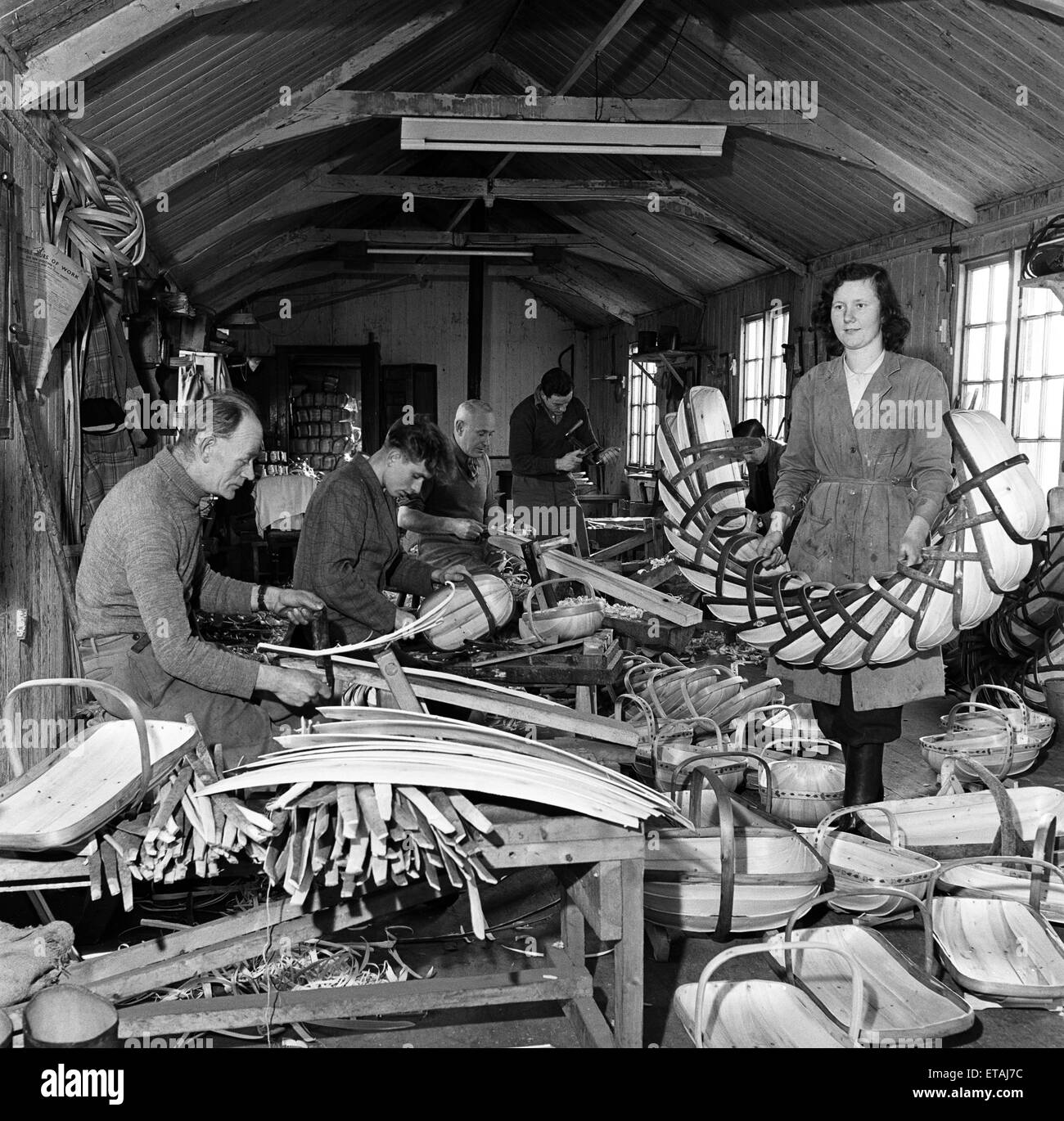 Trug Entscheidungsträger auf Herstmonceux, East Sussex, der lokalen Industrie ist die Herstellung der berühmten Sussex Trug Körbe. Die Kasten sind handgefertigt aus Weide Board und der Rahmen sind Chesnut. Dechsel dienen bei der Gestaltung und der Holzschnitt in Plantagen. Trug Körbe wurden zuerst von der späten Herr Thomas Smith, vor über 100 Jahren und die Industrie erfolgt nun von seiner Familie auf. Kasten sind Dollar-Verdiener - sind viele nach Amerika geschickt. Dezember 1952 Stockfoto