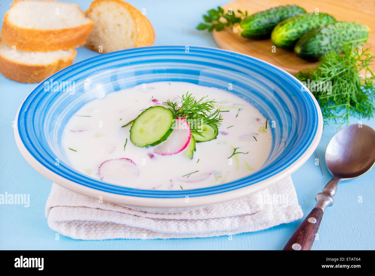Kalter Sommer Suppe mit Joghurt und Gemüse und Kräuter hautnah Stockfoto