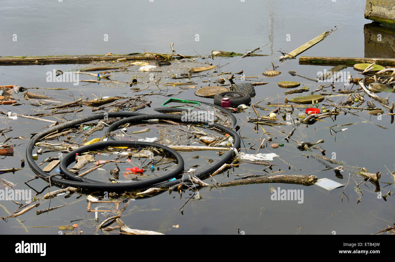 Treibgut im Albert Dock. Hafen von Leith, Edinburgh, Schottland, Vereinigtes Königreich, Europa. Stockfoto