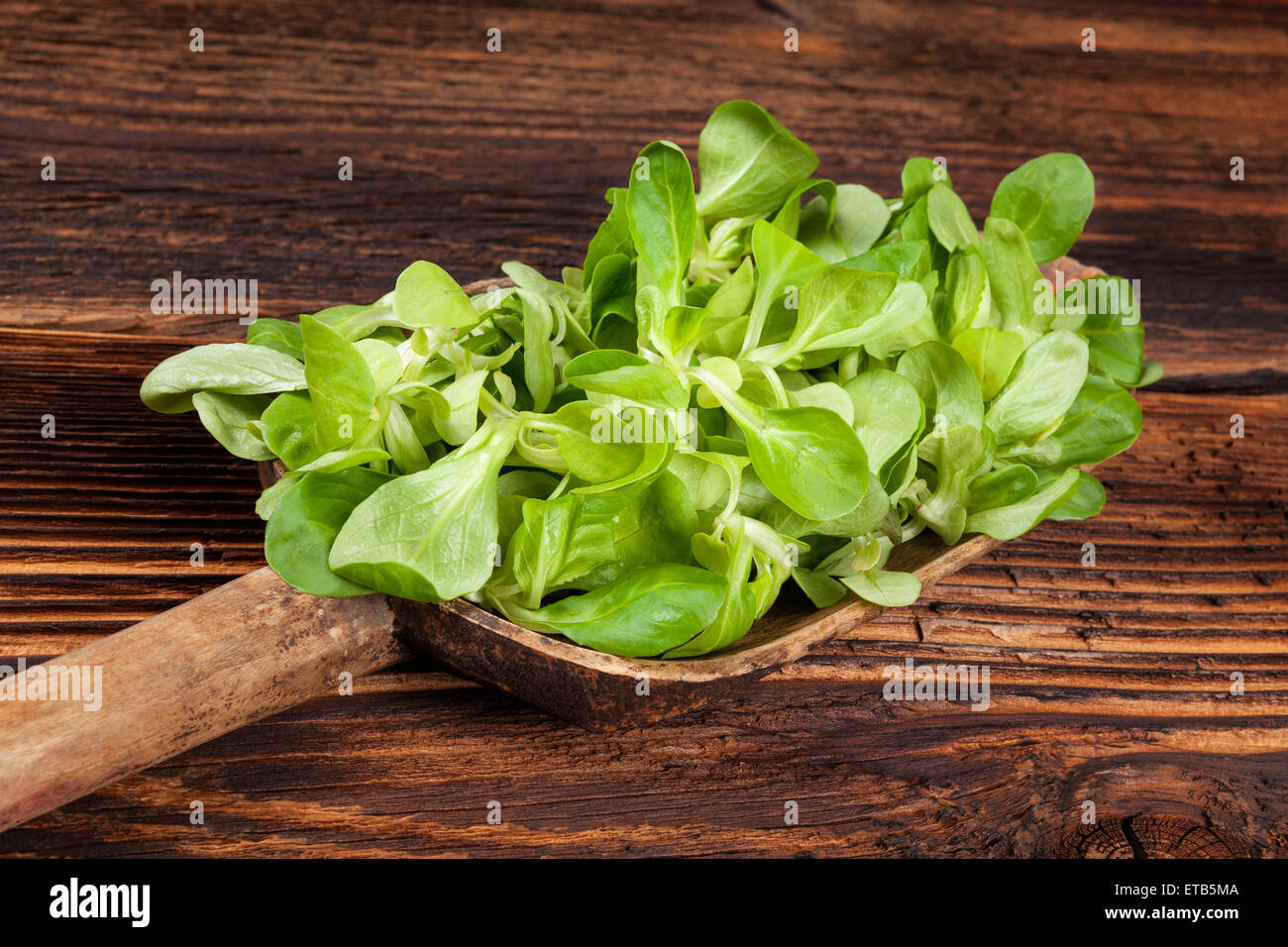 Frische grüne Feldsalat Salat auf Holzlöffel auf alten hölzernen Vintage-Hintergrund. Frischer Salat, rustikalen Vintage Landhausstil Stockfoto