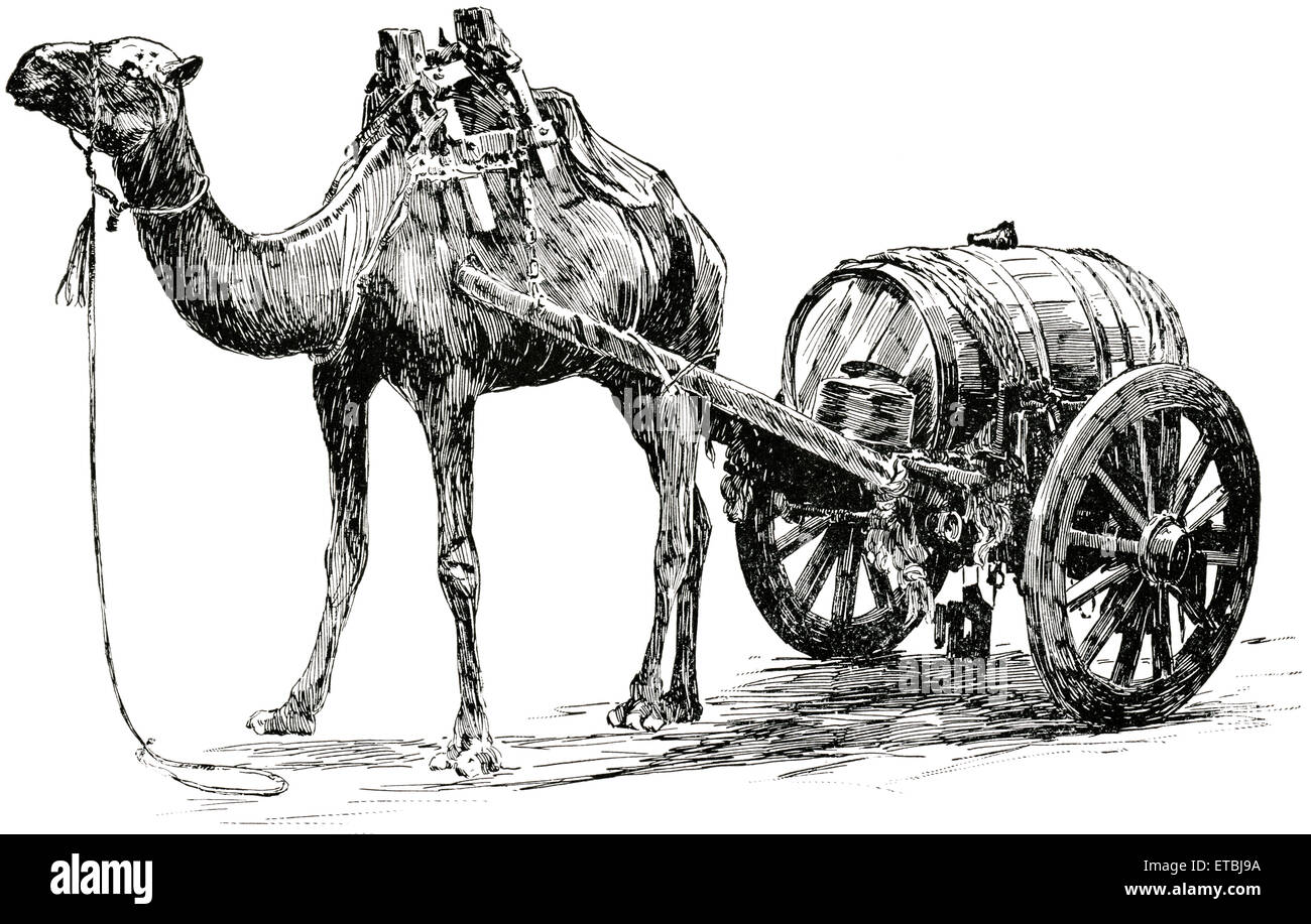 Kamel mit Wasser wagen, Aden, Arabien, "Klassische Portfolio der primitiven Carrier" von Marshall M. Kirman, Welt Eisenbahn Publ. Co., Illustration, 1895 Stockfoto
