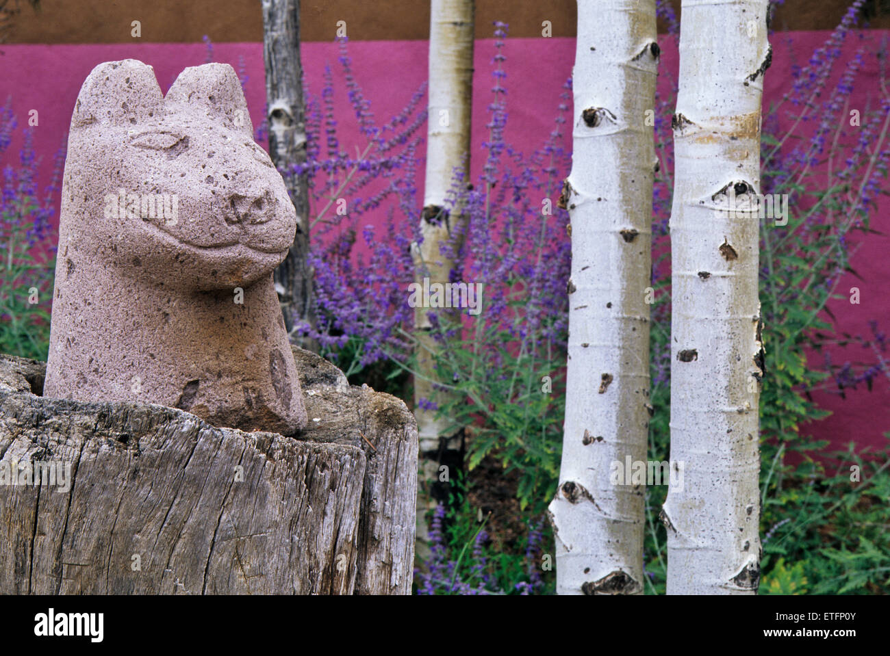 Entworfen von Martha Schwartz von Boston, hat die Garten von Nancy Dickenson n Santa Fe eine Reihe von modernistischen Elementen. Stockfoto