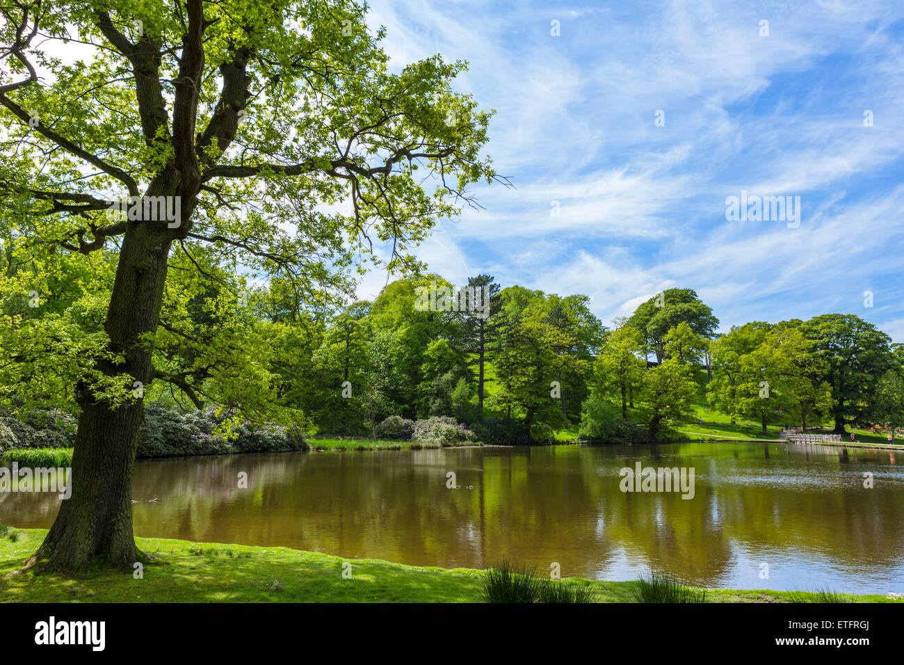 Mühlteich bei Lyme Park, das Haus wurde als Pemberley in BBC-Serie "Stolz und Vorurteil", Disley, Cheshire, England, UK vorgestellt. Stockfoto