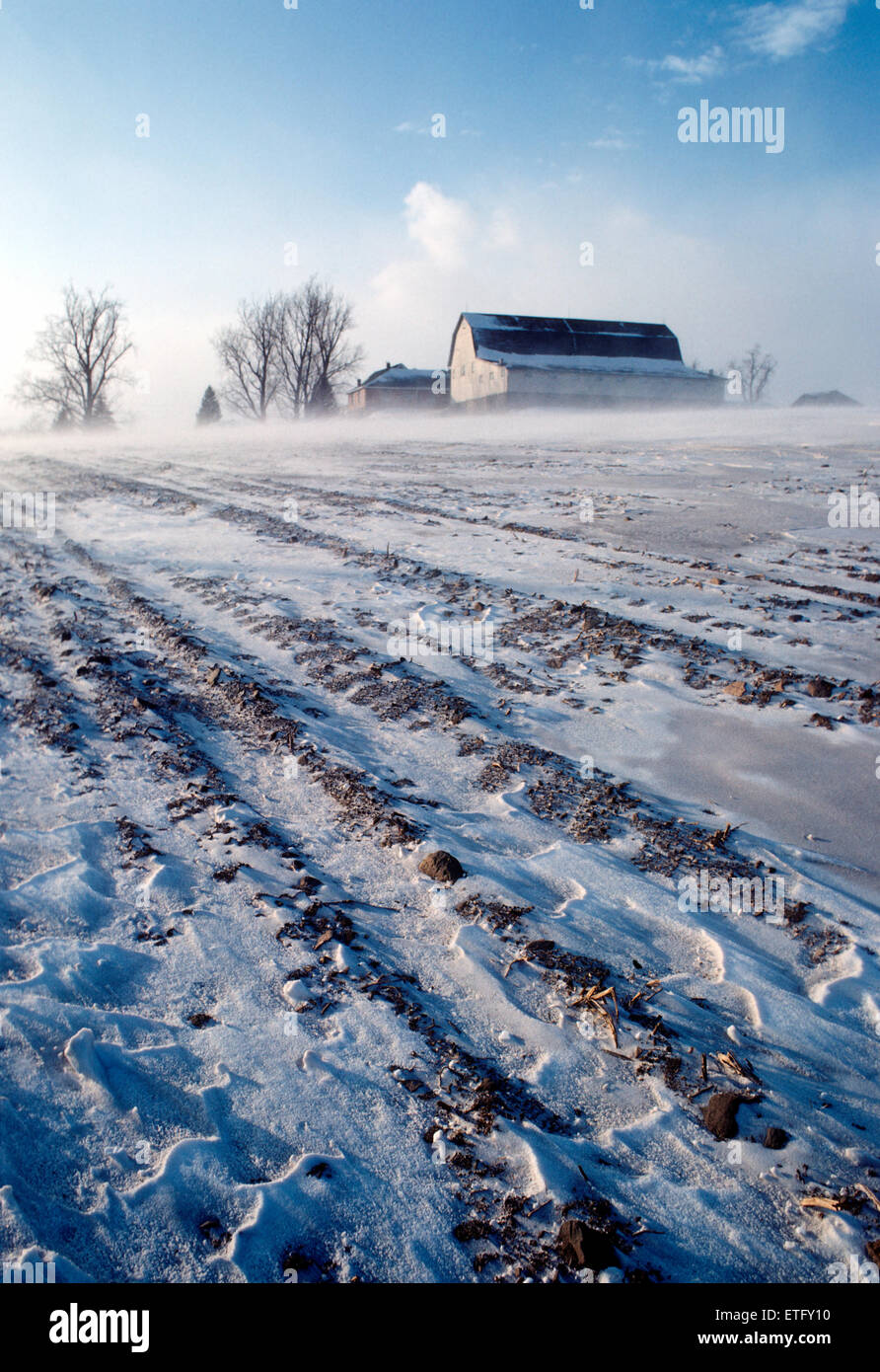 Überblick Winter weht Schnee und gefrorene Äckern, Upstate New York, USA Stockfoto