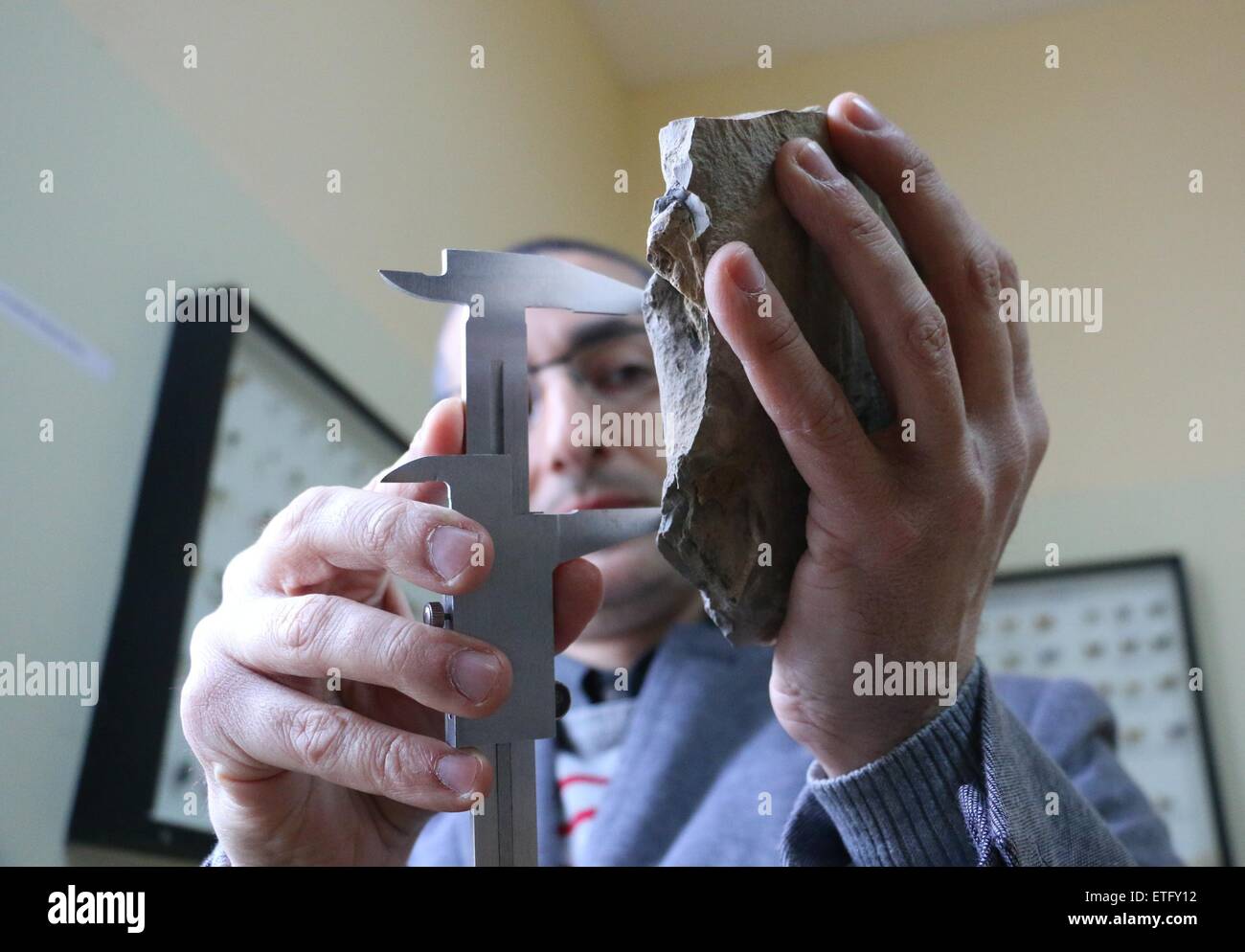 Stoyan Vergiev, ein Experte aus Varna Natural Science Museum, präsentiert einen prähistorischen Wal Wirbel. Das Säugetier lebte während des Miozän etwa 10 Millionen Jahre zuvor, in der Nähe von Bulgariens Schwarzmeer-Stadt von Varna. Ein Bericht von einem Passanten führte zur Entdeckung der prähistorischen Wal Wirbel vor etwa einem Monat. Die Gezeiten des Meeres zerstört einige der Fossilien. Das Fehlen des Schädels bedeutet, dass bestimmte Walarten identifiziert werden können, obwohl man sagen kann, dass die Meeresbewohner Gattung Cetotherium gehörte. Die geschätzte Länge der Wal war 2,5 Meter. Wale dieser Art wog ar Stockfoto