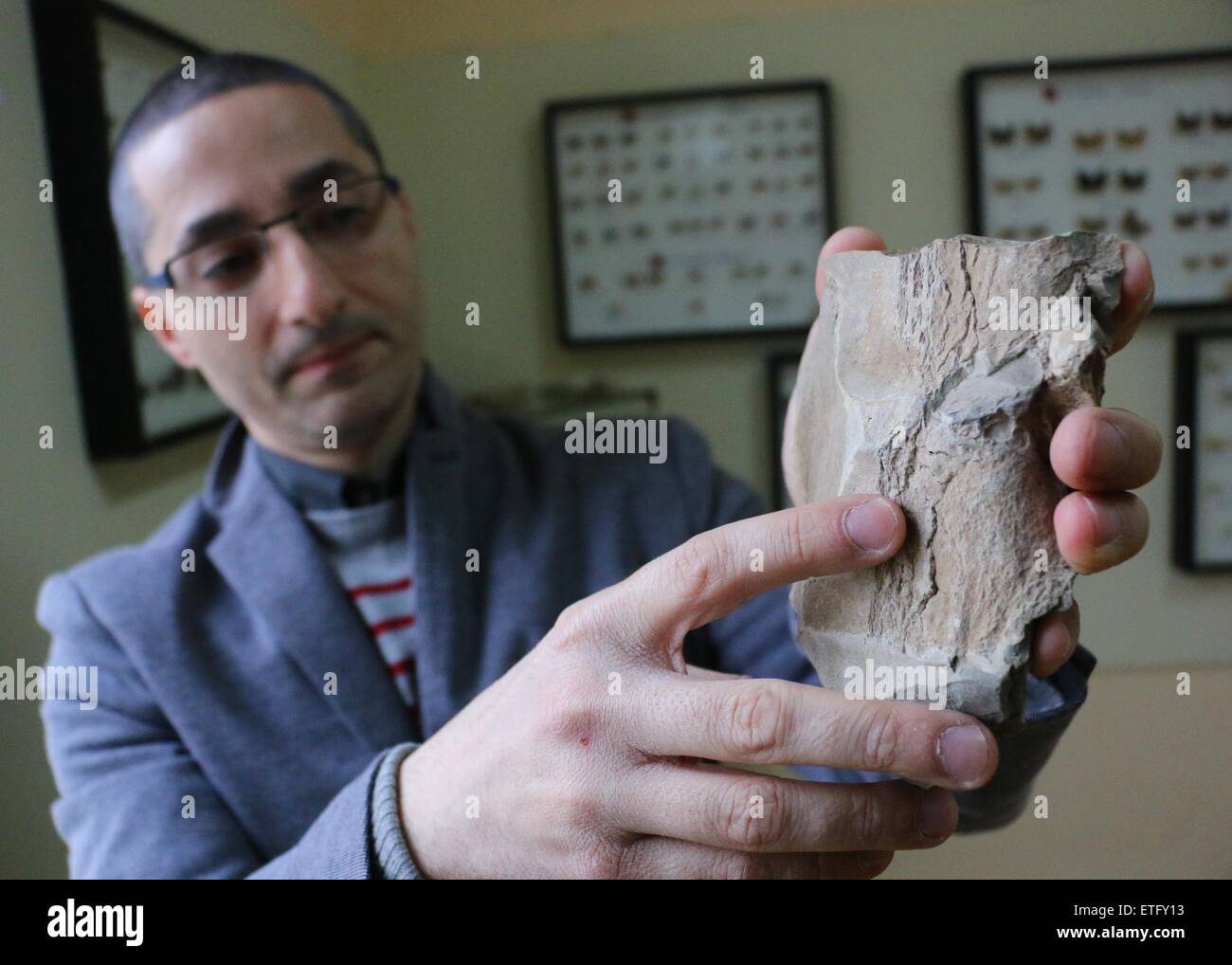 Stoyan Vergiev, ein Experte aus Varna Natural Science Museum, präsentiert einen prähistorischen Wal Wirbel. Das Säugetier lebte während des Miozän etwa 10 Millionen Jahre zuvor, in der Nähe von Bulgariens Schwarzmeer-Stadt von Varna. Ein Bericht von einem Passanten führte zur Entdeckung der prähistorischen Wal Wirbel vor etwa einem Monat. Die Gezeiten des Meeres zerstört einige der Fossilien. Das Fehlen des Schädels bedeutet, dass bestimmte Walarten identifiziert werden können, obwohl man sagen kann, dass die Meeresbewohner Gattung Cetotherium gehörte. Die geschätzte Länge der Wal war 2,5 Meter. Wale dieser Art wog ar Stockfoto