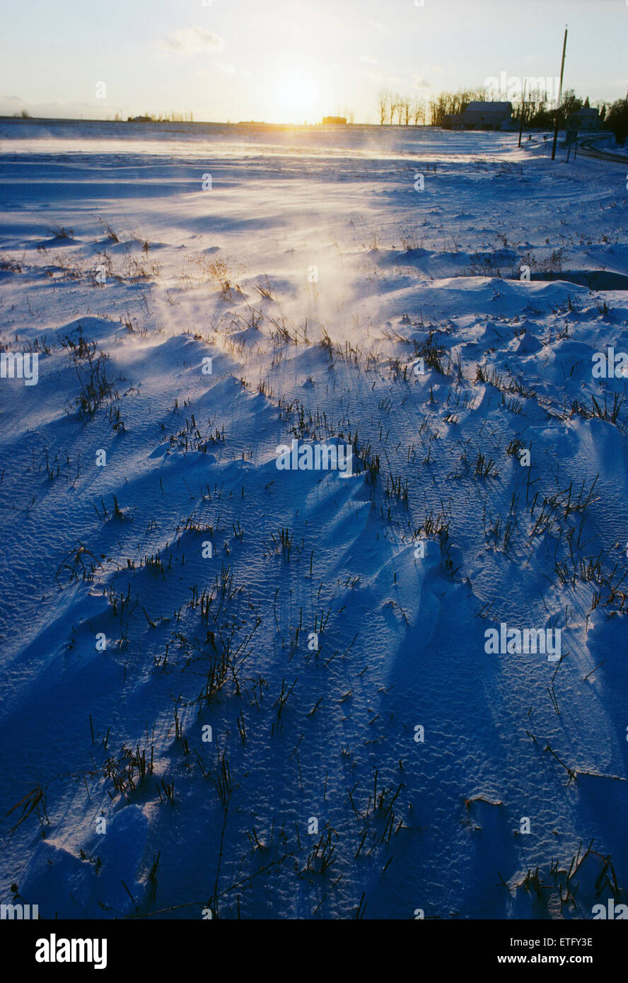 Sonnenuntergang Winter Blick auf weht Schnee und gefrorene Äckern, Upstate New York, USA Stockfoto