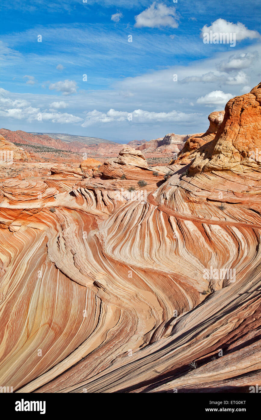 Die Welle und anderen bunten Felsformationen locken viele Wanderer und Touristen zum Bereich North Coyote Buttes... Stockfoto