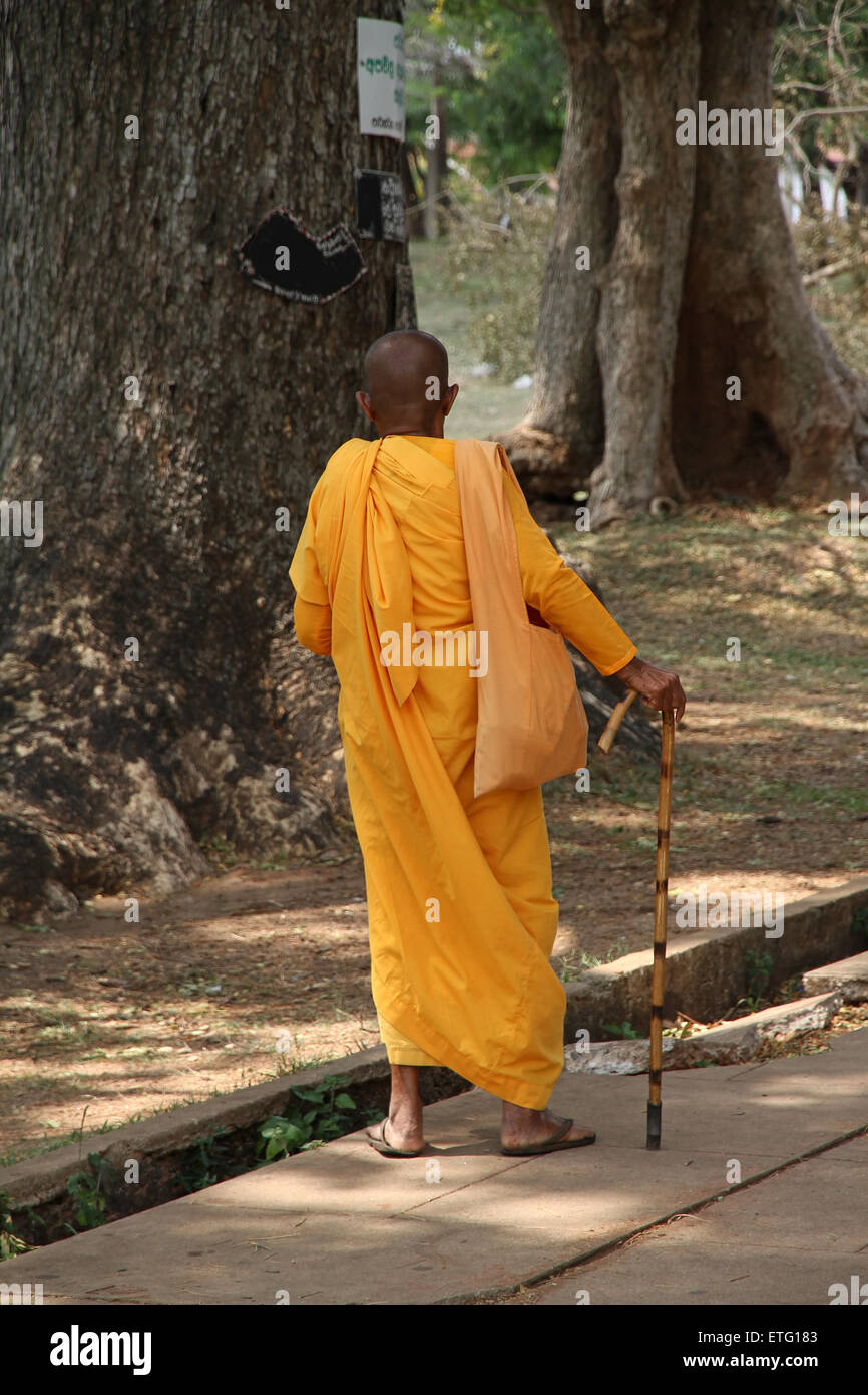 Ein zweiter Mönch ist Fuß auf der Straße mit seinem Stock Stockfoto