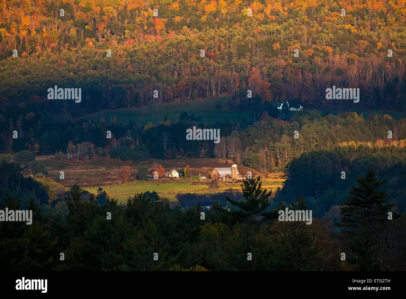 Am frühen Morgensonne beleuchtet farbigen Herbstlaub rund um ein Land-Bauernhof in den Hügeln von New Hampshire. Stockfoto