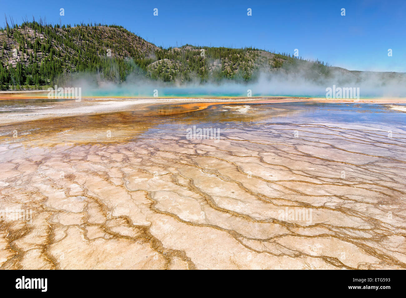 Die Welt berühmte Grand prismatische Frühling im Yellowstone National Park Stockfoto
